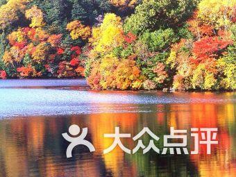 华安基金：美国降息预期降温，黄金小幅回调