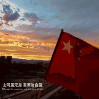 漂亮鹦鹉救援