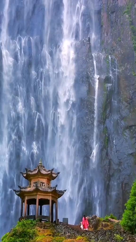 逃离倒影森林